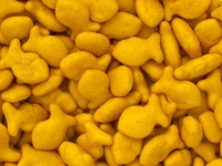 Biscoitos de Peixe dourado