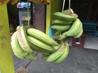 Zielone banany owoce w sklepie