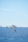Group Of Sailboats