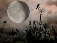 Luna llena de Halloween