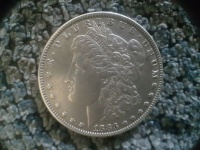 Dólar Morgan 4