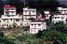 New Territories Village Houses