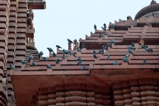 Gołębie na szczycie świątyni
