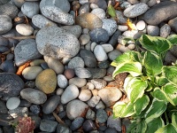 Close-up de pedras