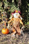 Scarecrow and Pumpkin