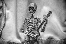 Jugador del banjo del esqueleto