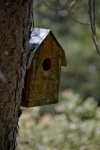Het Birdhouse