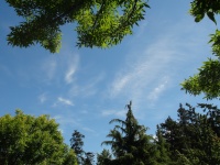 Nuvole wispy in Blue Sky 2