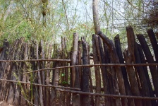 Recinzione di tronchi di legno