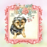 Yorkshire Terrier Dog Card
