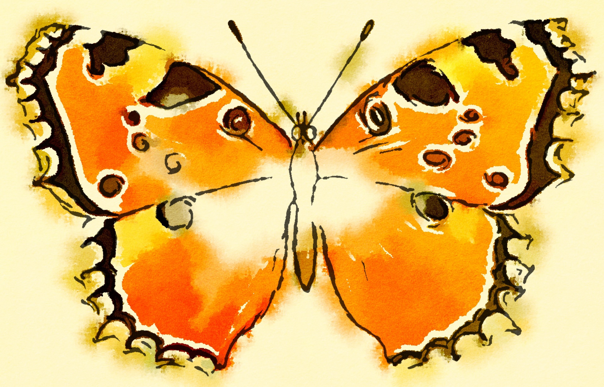 彩虹蝴蝶的无缝背景. 矢量图插图 向量例证. 插画 包括有 模式, 叶子, 装饰, 多彩多姿, 五颜六色 - 238114231
