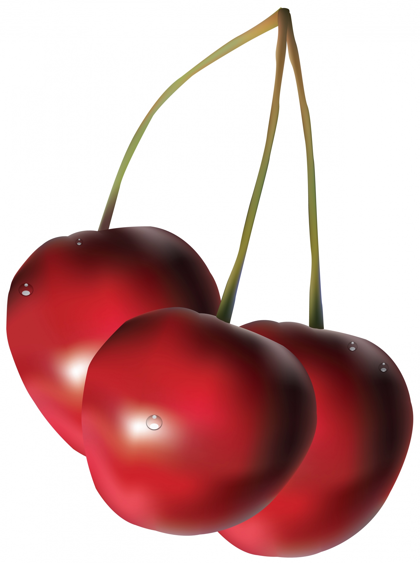 cherry-illustration-free-stock-photo-public-domain-pictures