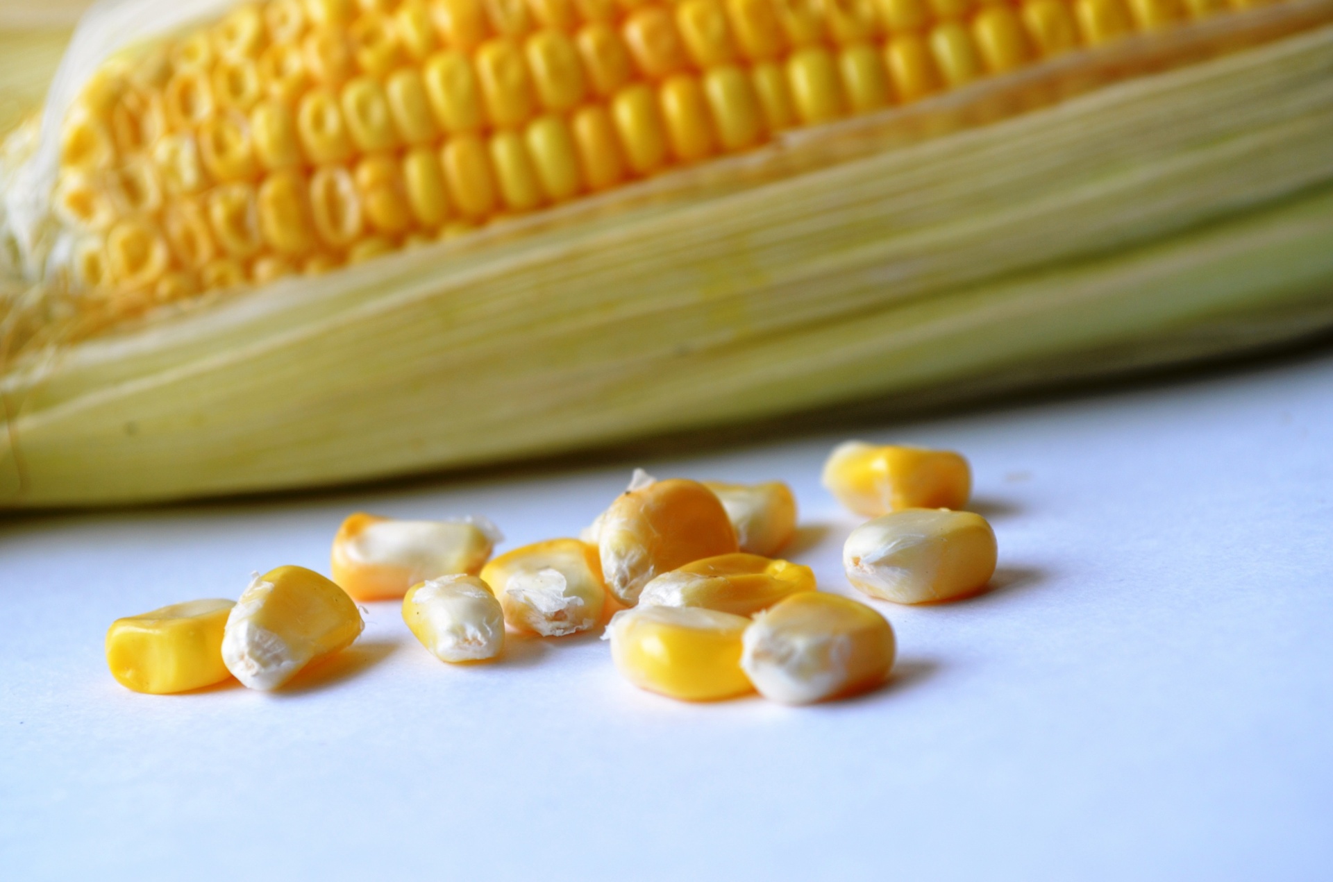 Кукуруза зерна початок Corn grain the cob загрузить