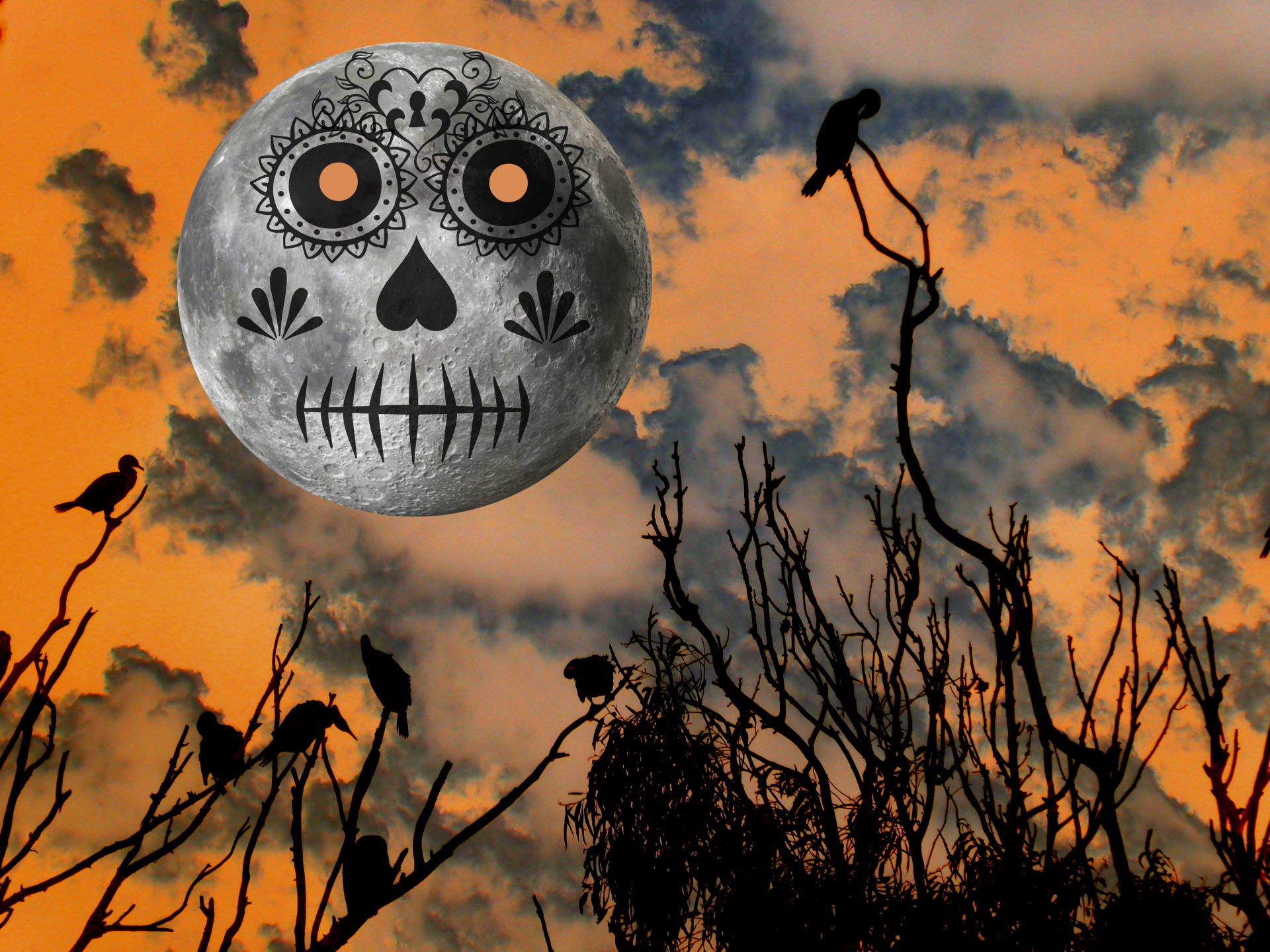 Day Of The Dead Moon Free Stock Photo Public Domain Pictures