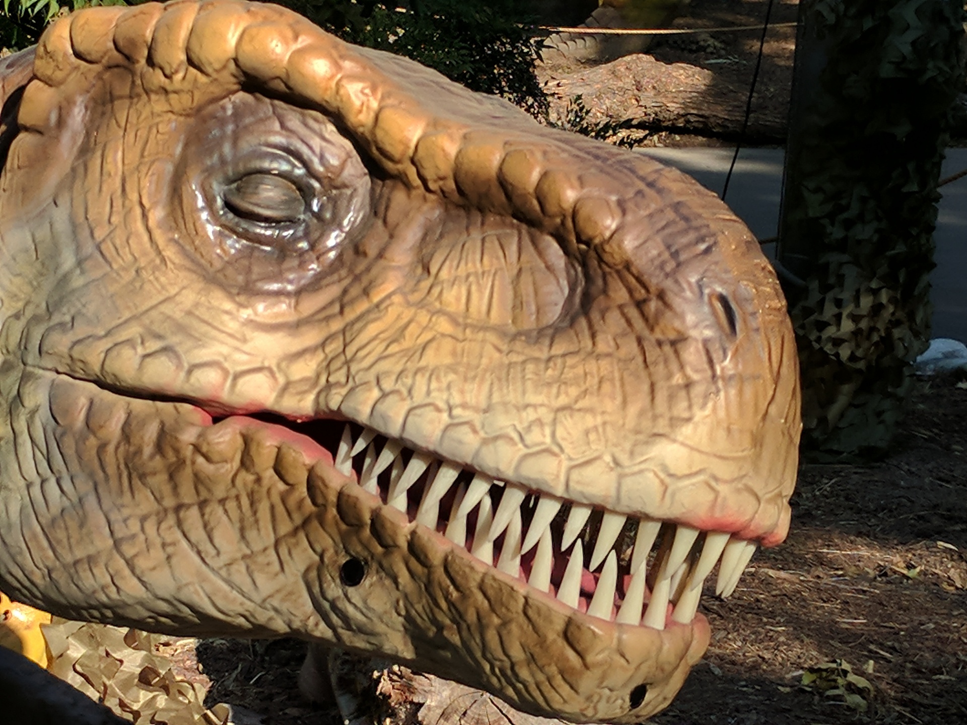 Dinozaur Tyrannosaurus rex