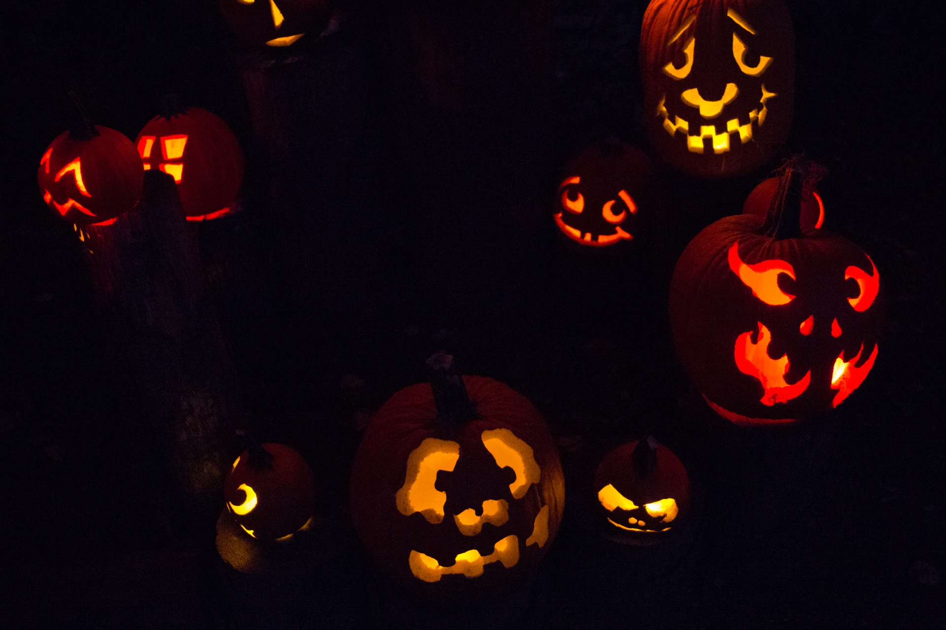 Halloween Jack O'Lanterns Free Stock Photo - Public Domain Pictures