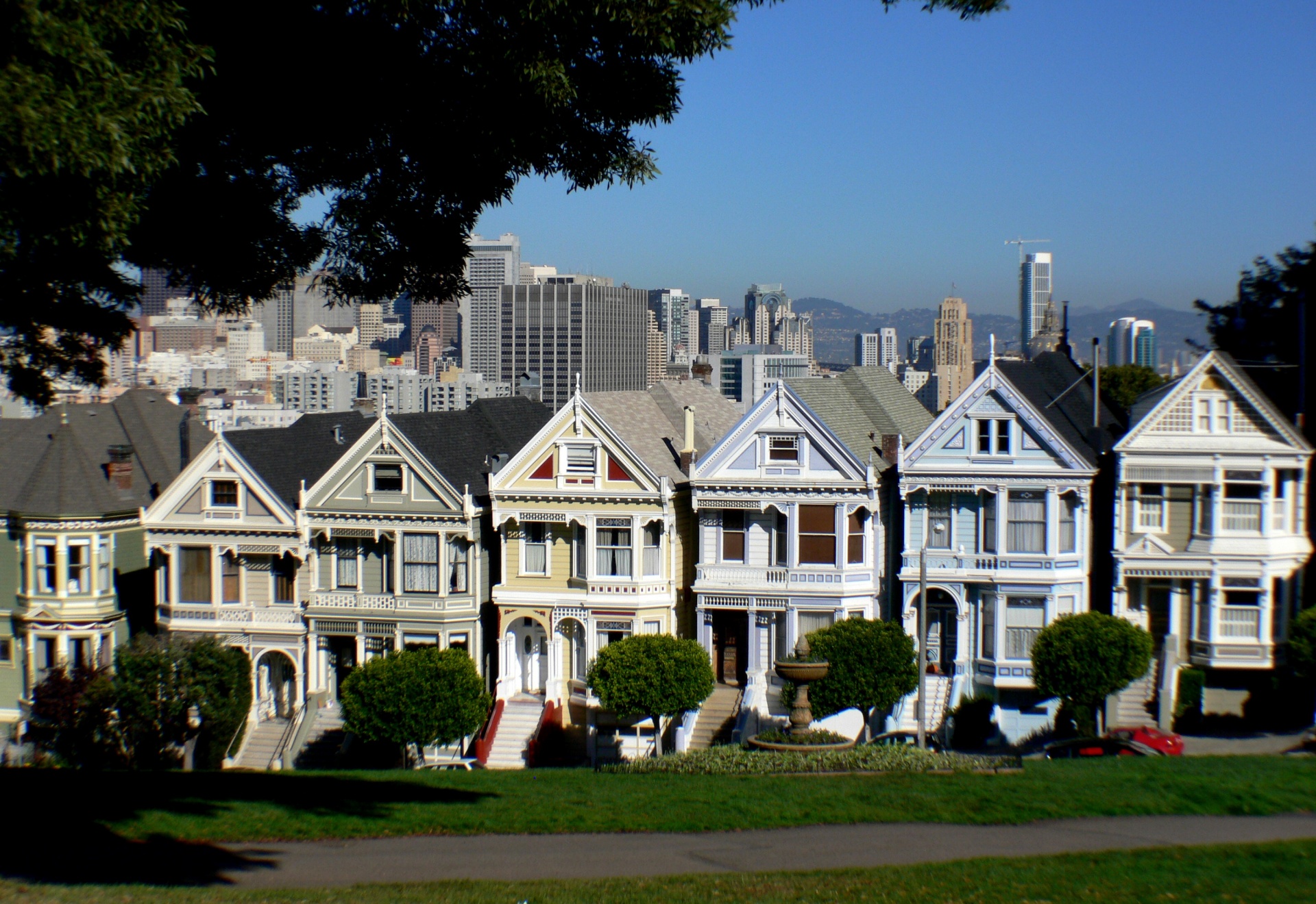 Painted Ladies Free Stock Photo - Public Domain Pictures