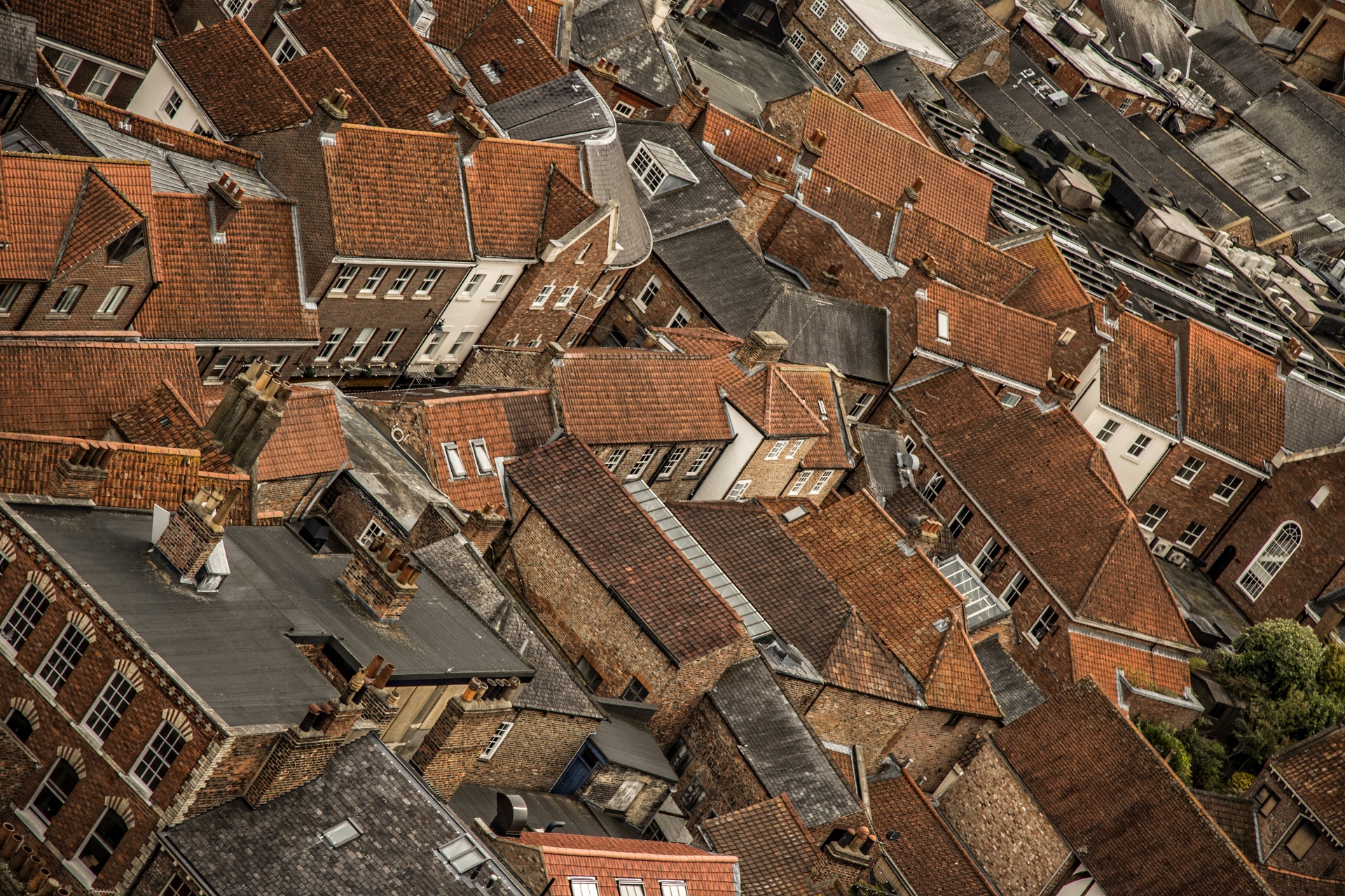 Roofs And Many Houses Free Stock Photo - Public Domain Pictures