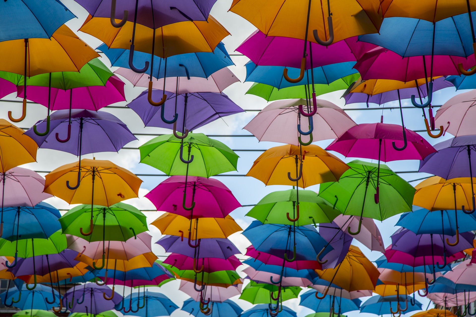 Umbrella Street In France