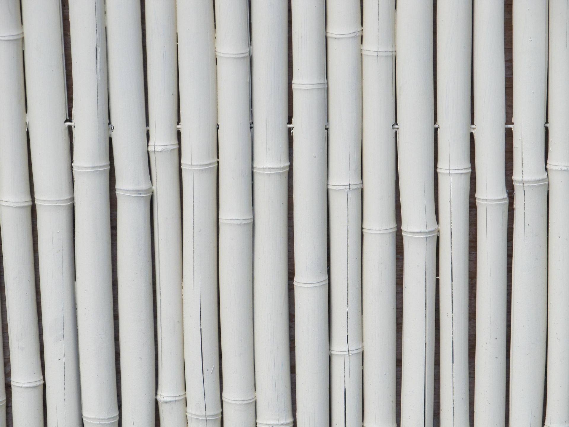  White  Bamboo  Free Stock Photo Public Domain Pictures