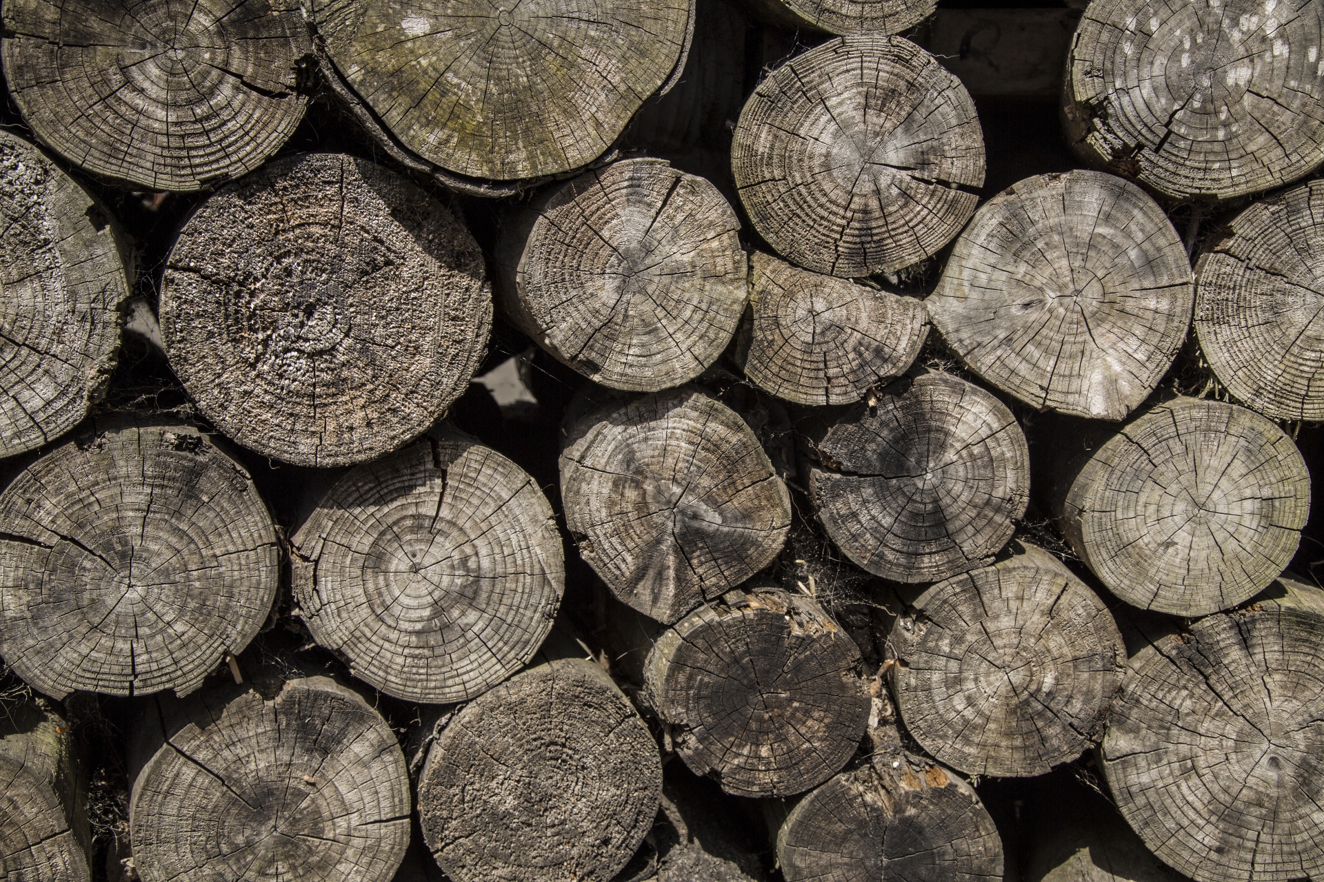 Wood Free Stock Photo - Public Domain Pictures