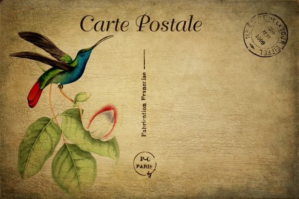 FANTASY Bird Watching Instant Digital Download Vintage Postcard