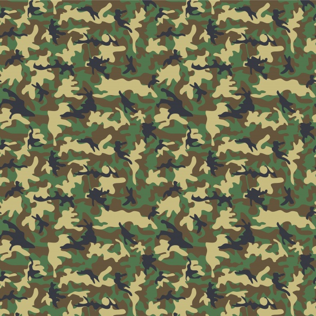 Camouflage Pattern Free Stock Photo - Public Domain Pictures