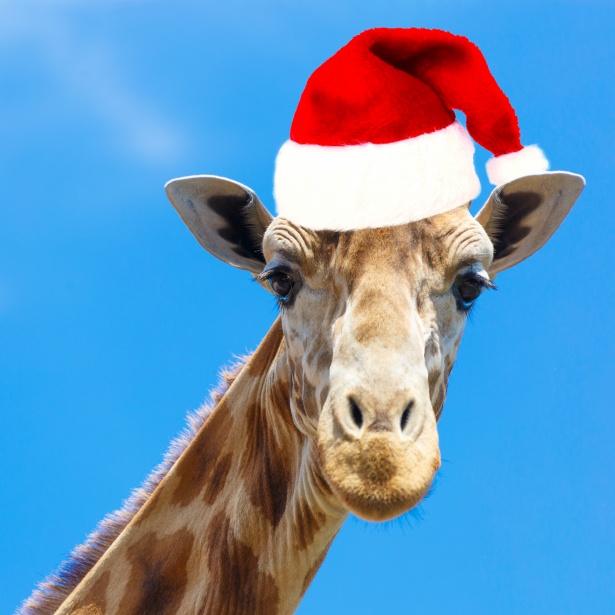 Christmas Giraffe Santa Giraffe Neck Gaiter