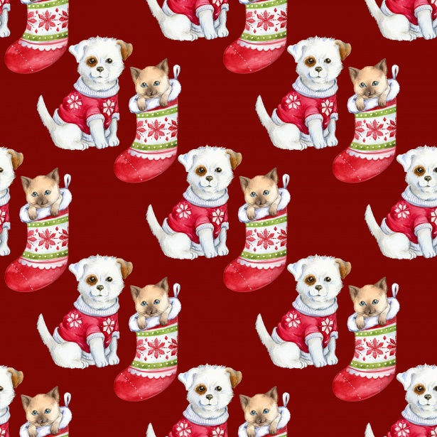 christmas-puppy-kitten-wallpaper-1510171429610.jpg