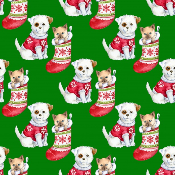 Christmas Puppy Kitten Wallpaper Free