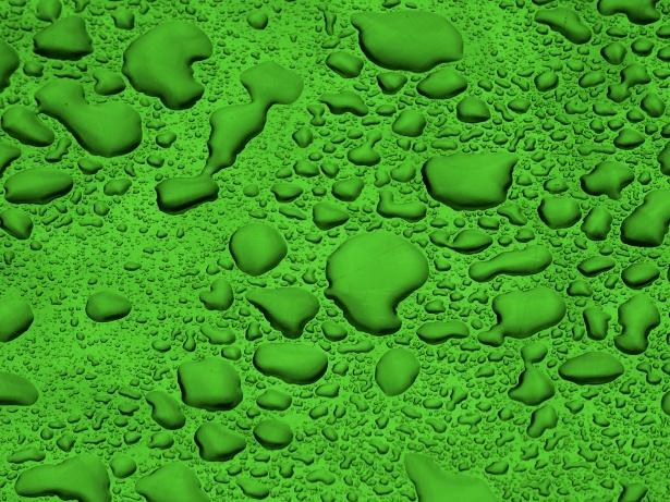 Wallpaper  Fundo verde agua, Fundos, Fundo verde