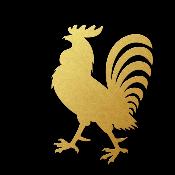 Resultado de imagen de gallo de oro