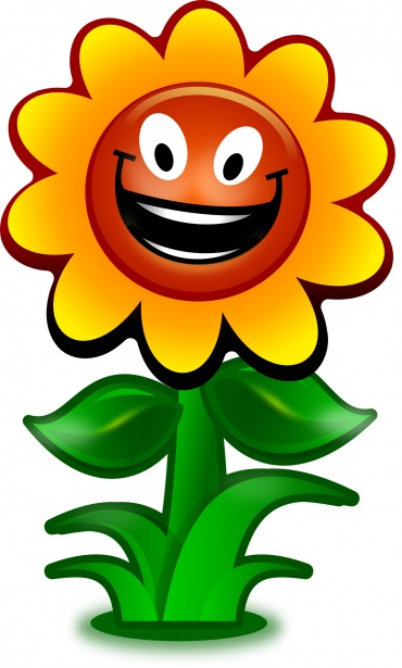 Floarea-soarelui Poza gratuite - Public Domain Pictures