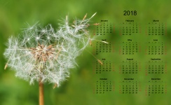 2018 Calendar Dandelion Seeds