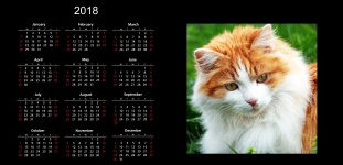 2018 Cat Calendar