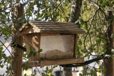 Un Birdhouse