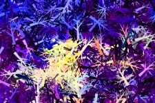Abstract Chaos Background