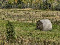 Bale Of Hay
