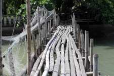 Ponte di bambù