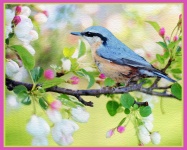 Bird Watercolor Painting Card