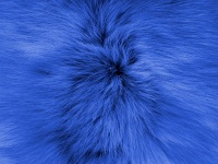 Blue Soft Fur Background