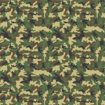 Camouflage minta