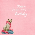 Macska akvarell születésnapi kártya