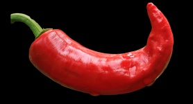 Chili Pepper Czerwony