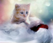 Vánoční koťátko akvarel