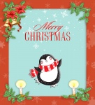 Christmas Penguin Card