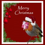 Robin de Noël avec cadeau