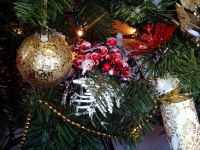 Weihnachtsbaum-Stechpalme