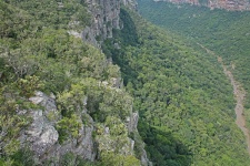 Close View Of Cliffs And Vegetation
