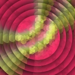 Concentric Color Circles 1